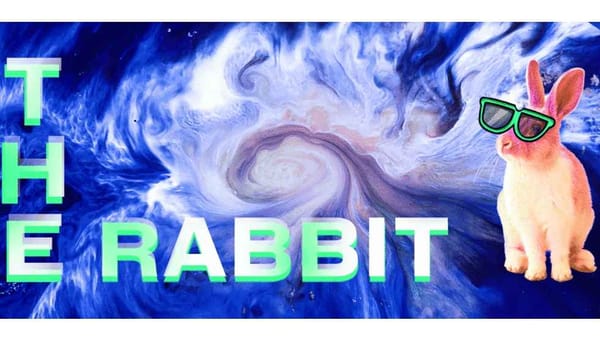 The Rabbit 2024 Has Started