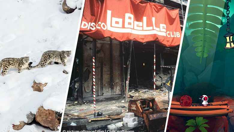 Medienboard Berlin-Brandenburg Funds Ten Games With a Total of €1.1 Million